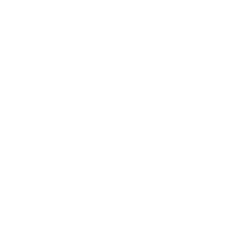 Soluleads™ Logo